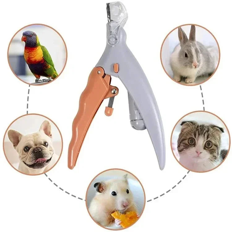 Pet Nail Clipper Scissors With LED Light Cat Dog Nail Clippers Tool Scissors Nail Toeclaw Cutter Scissors